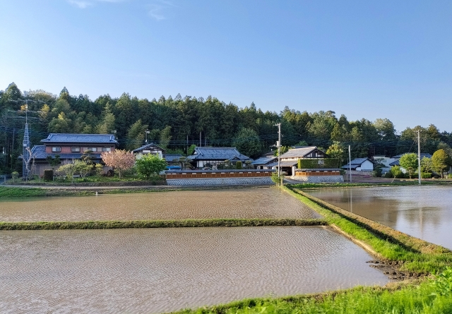 地方の田んぼ